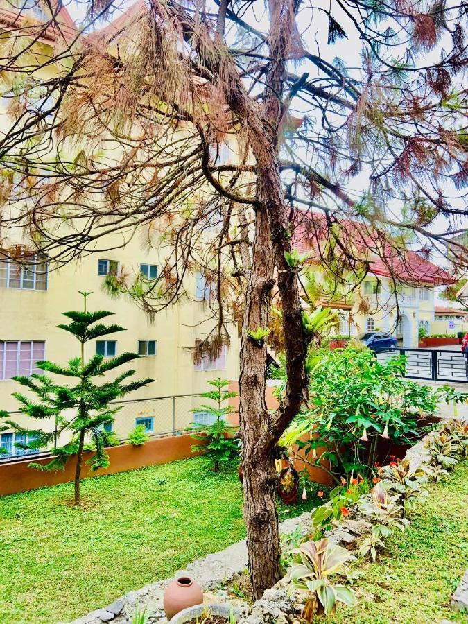 Elliannah Pines Hotel Baguio City Екстер'єр фото